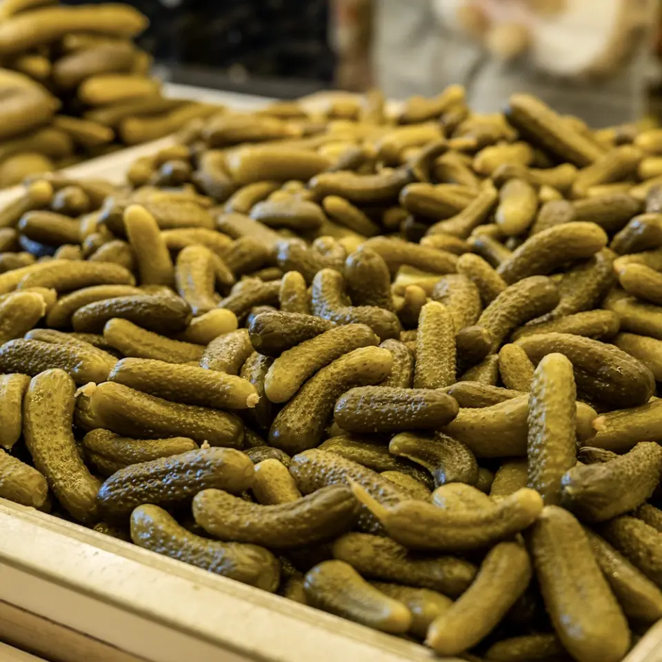 Kornişon Salatalık Turşusu