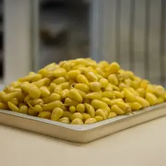 Antalya Biberi Turşusu